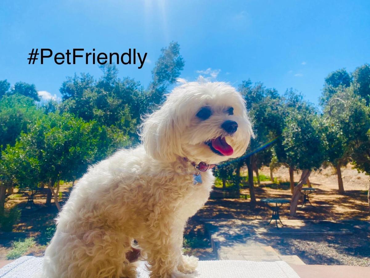 Bungalow Sequero #Pet Friendly Tuineje Exteriér fotografie